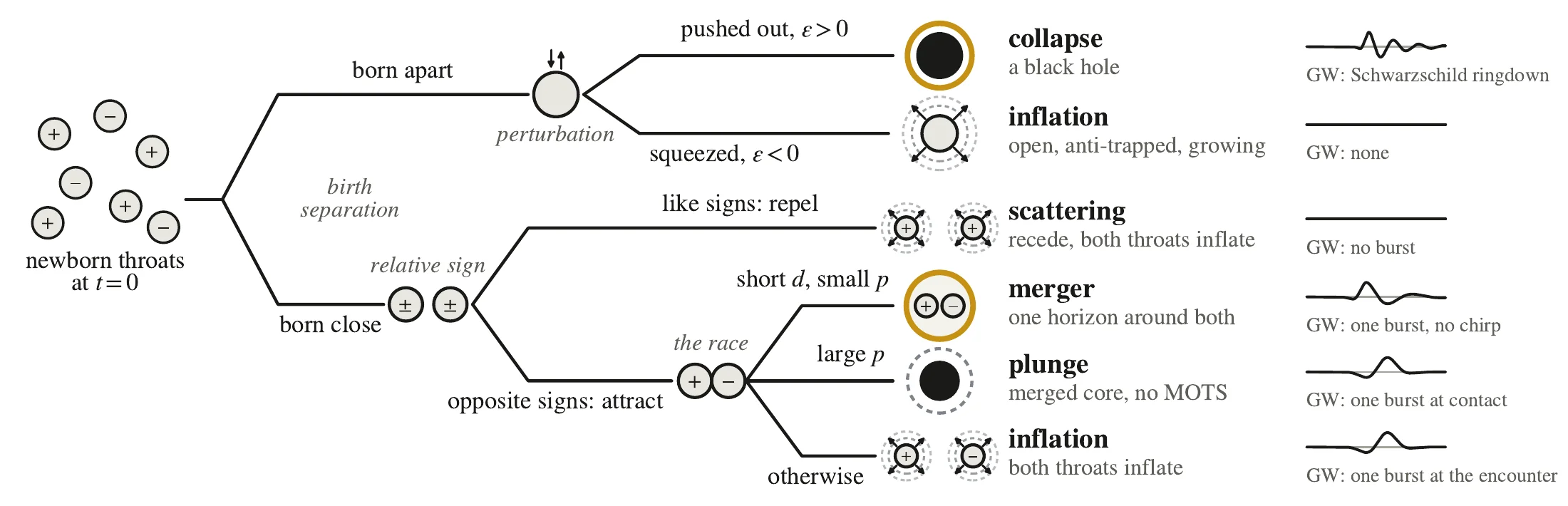 Binary wormholes, Fig. 1 — Fates of newborn throats.